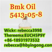 CAS 5413-05-8 bmk oil,bmk powder To Netherlands,Poland